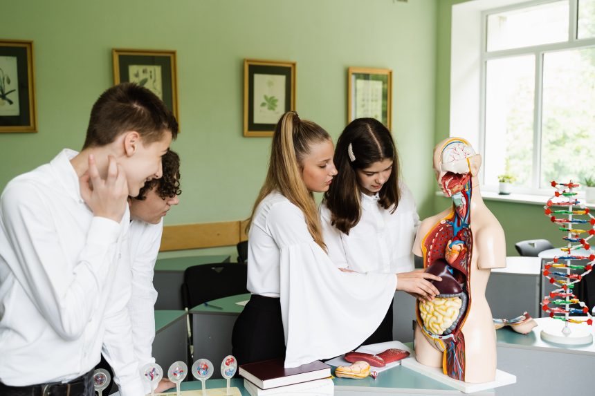 A group of pupils examining an anatomical model in A Level Biology class.