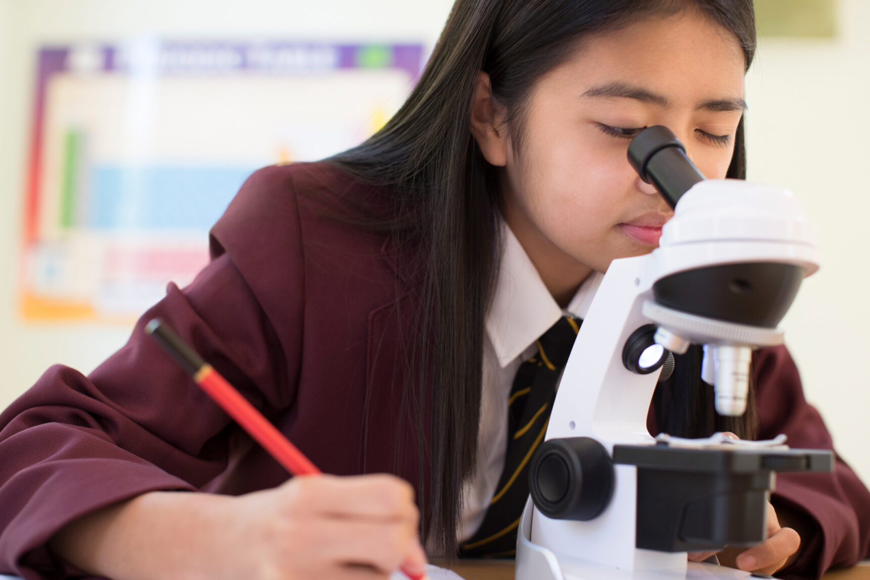 A Level Biology student using microscope.