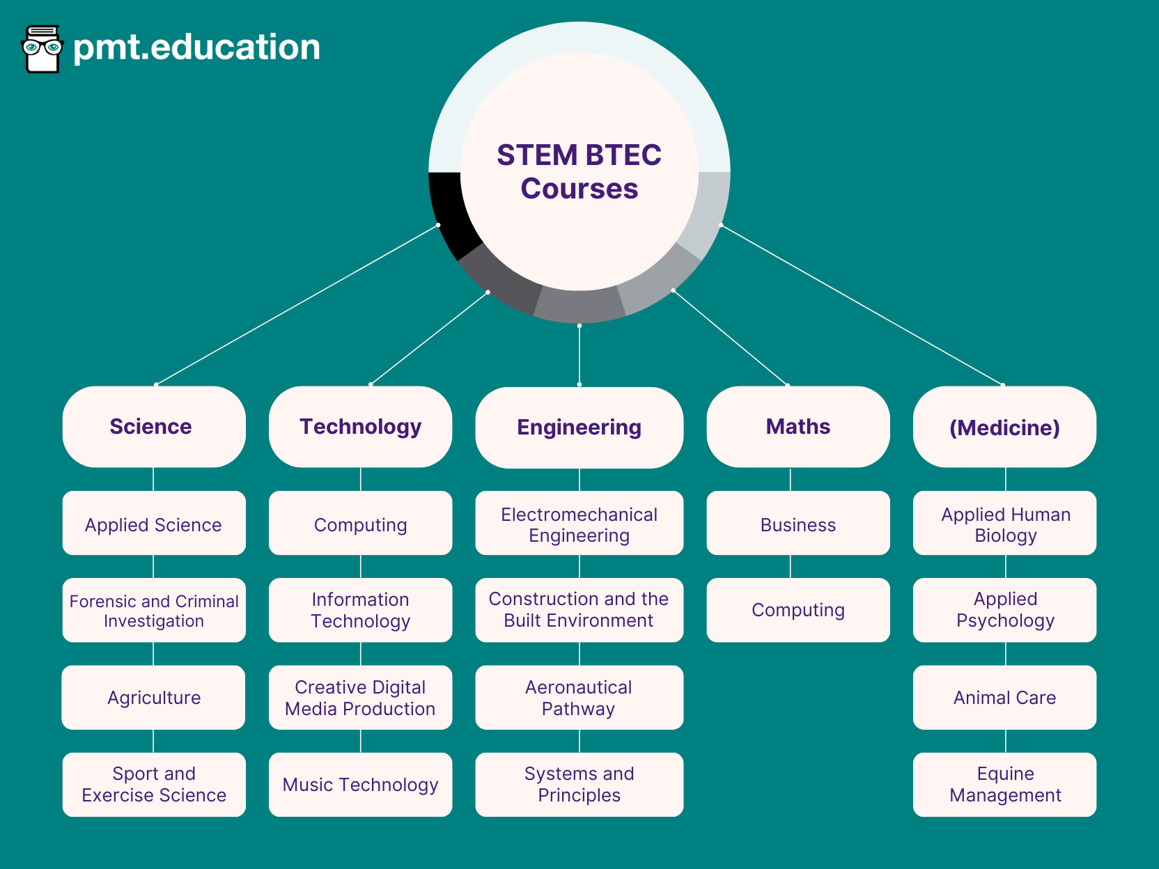 Science BTECs include applied science, forensic and criminal investigation, agriculture, and sport and exercise science. Technology BTECs include computing, information technology, creative digital media production, and music technology. Engineering apprenticeships include electromechanical engineering, construction and the built environment, aeronautical pathway, and systems and principles. Maths apprenticeships include business and computing. Medicine apprenticeships include applied human biology, applied psychology, animal care and equine management.