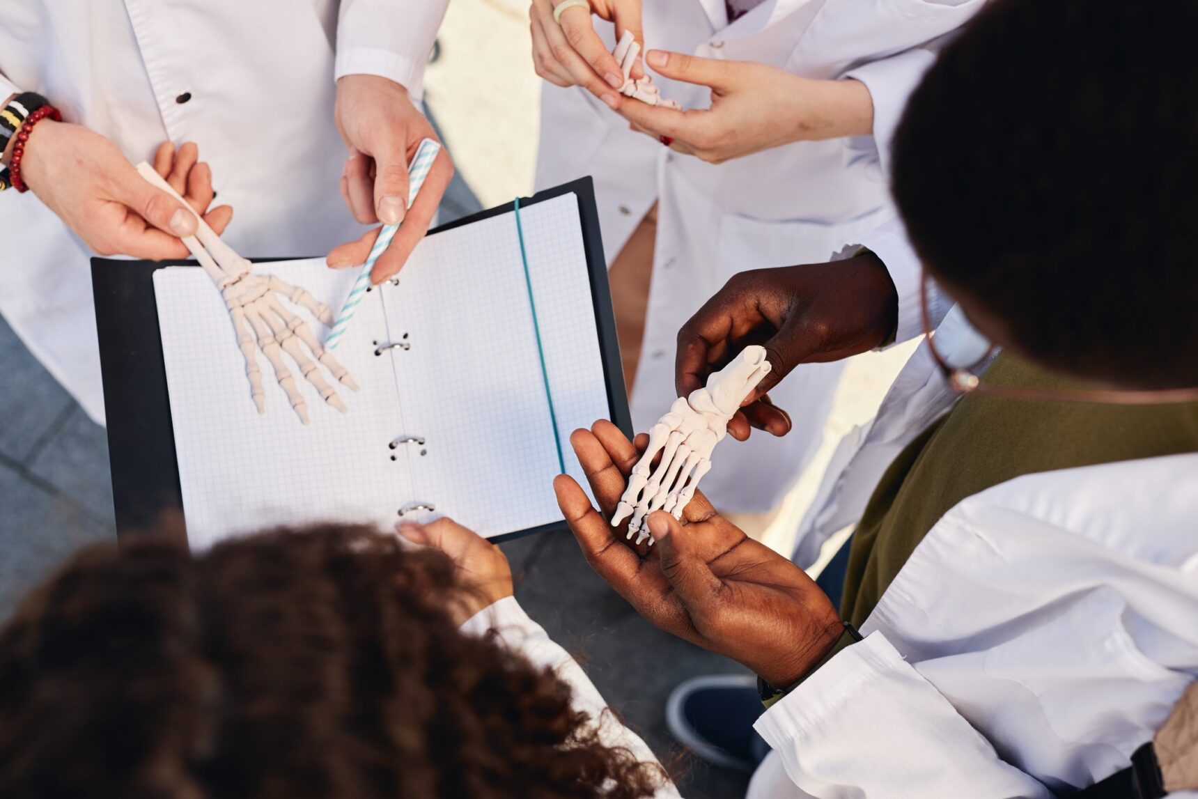 Medical students looking at skeleton of a foot.