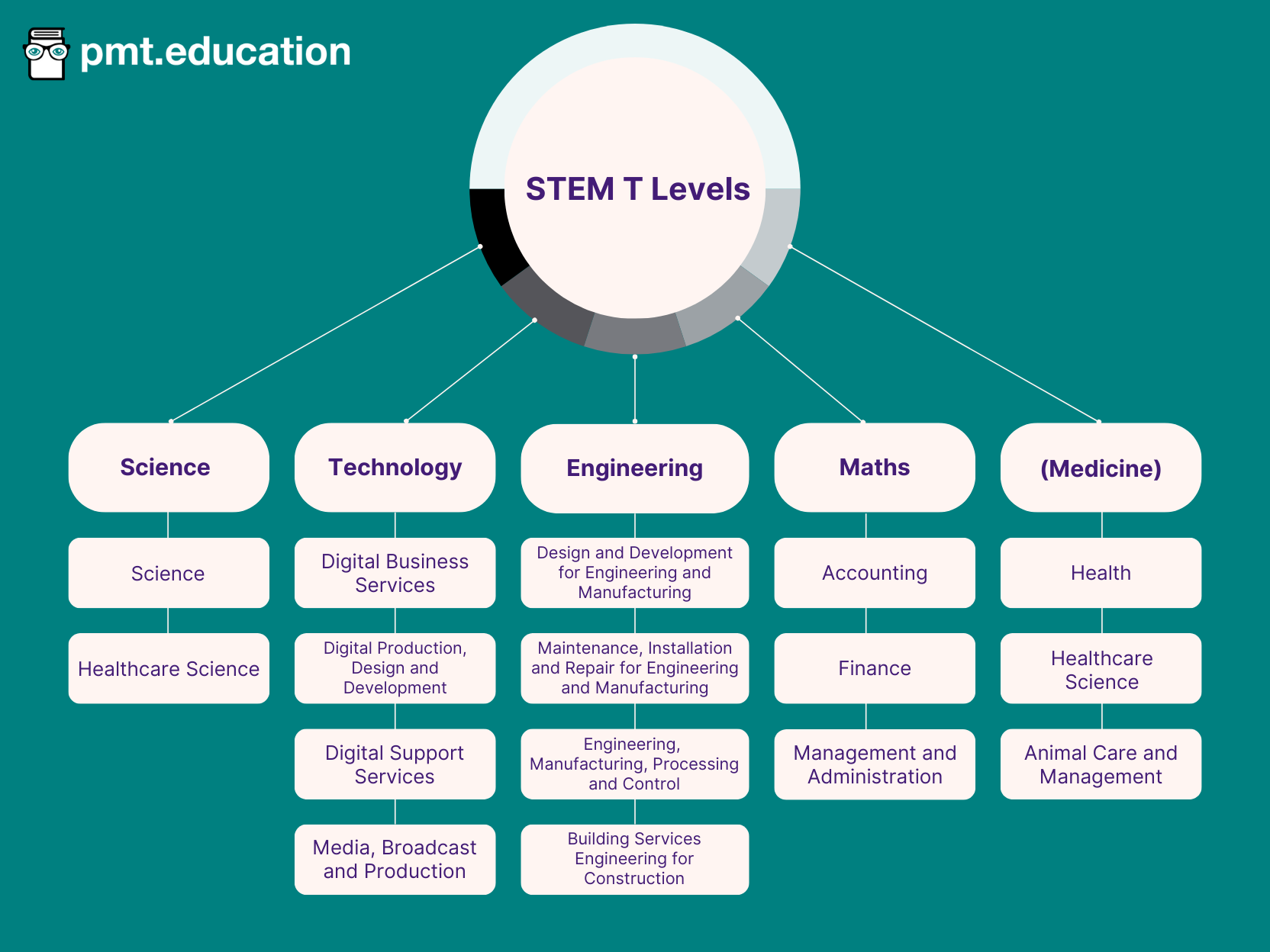 Science T Levels include science and healthcare science. Technology T Levels include digital business services; digital production, design and development; digital support services; and media, broadcast and production. Engineering apprenticeships include design and development for engineering and manufacturing; maintenance, installation and repair for engineering and manufacturing; engineering manufacturing, processing and control; building services engineering for construction. Maths T Levels include accounting, finance, and management and administration. Medicine apprenticeships include health, healthcare science and animal care management.