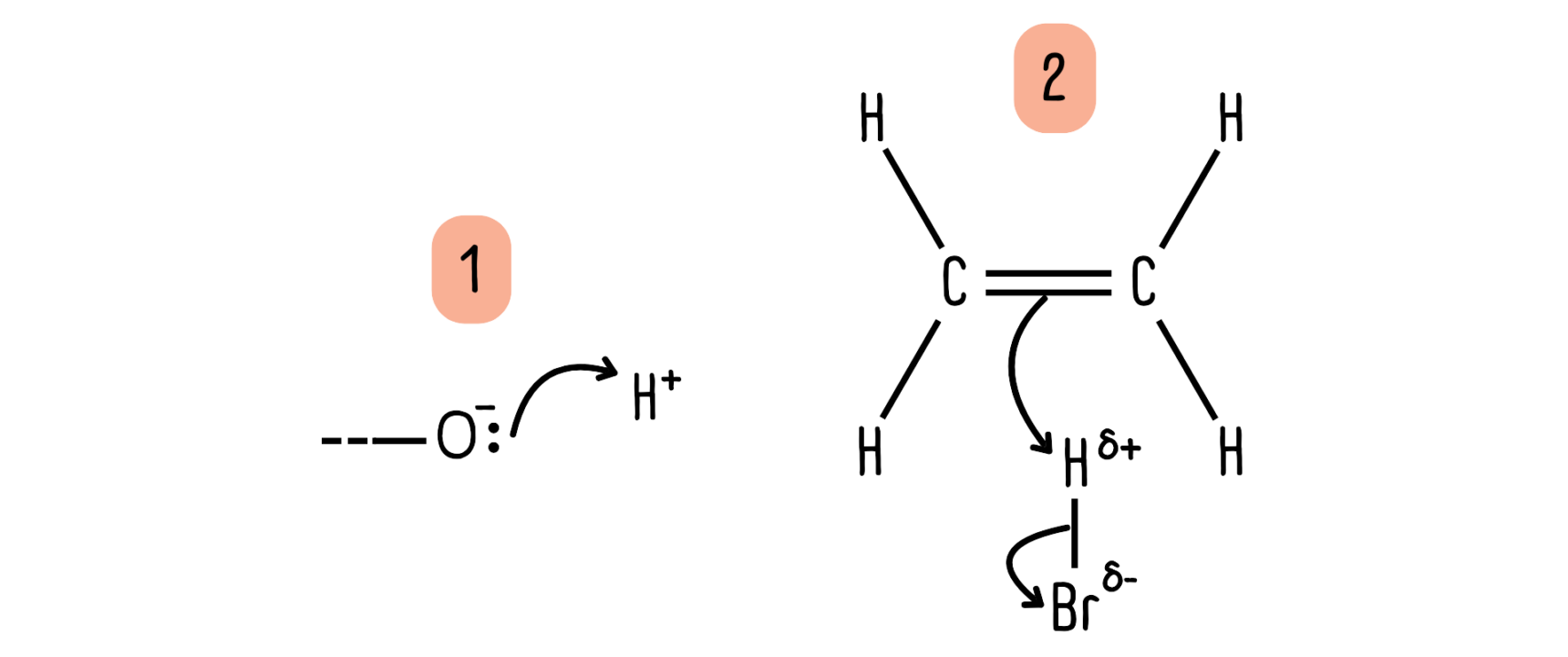 Example of curly arrow starting points in an organic reaction mechanism. Curly arrows must start from a source of electrons.