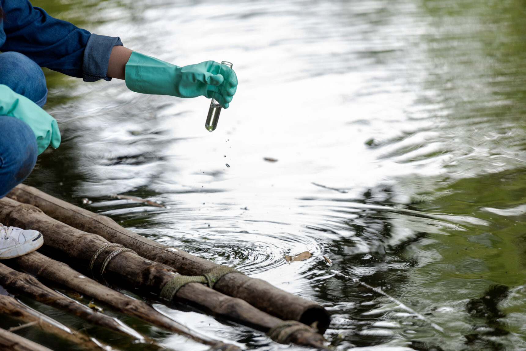 Environmental scientist takes a sample of a river with a test tube