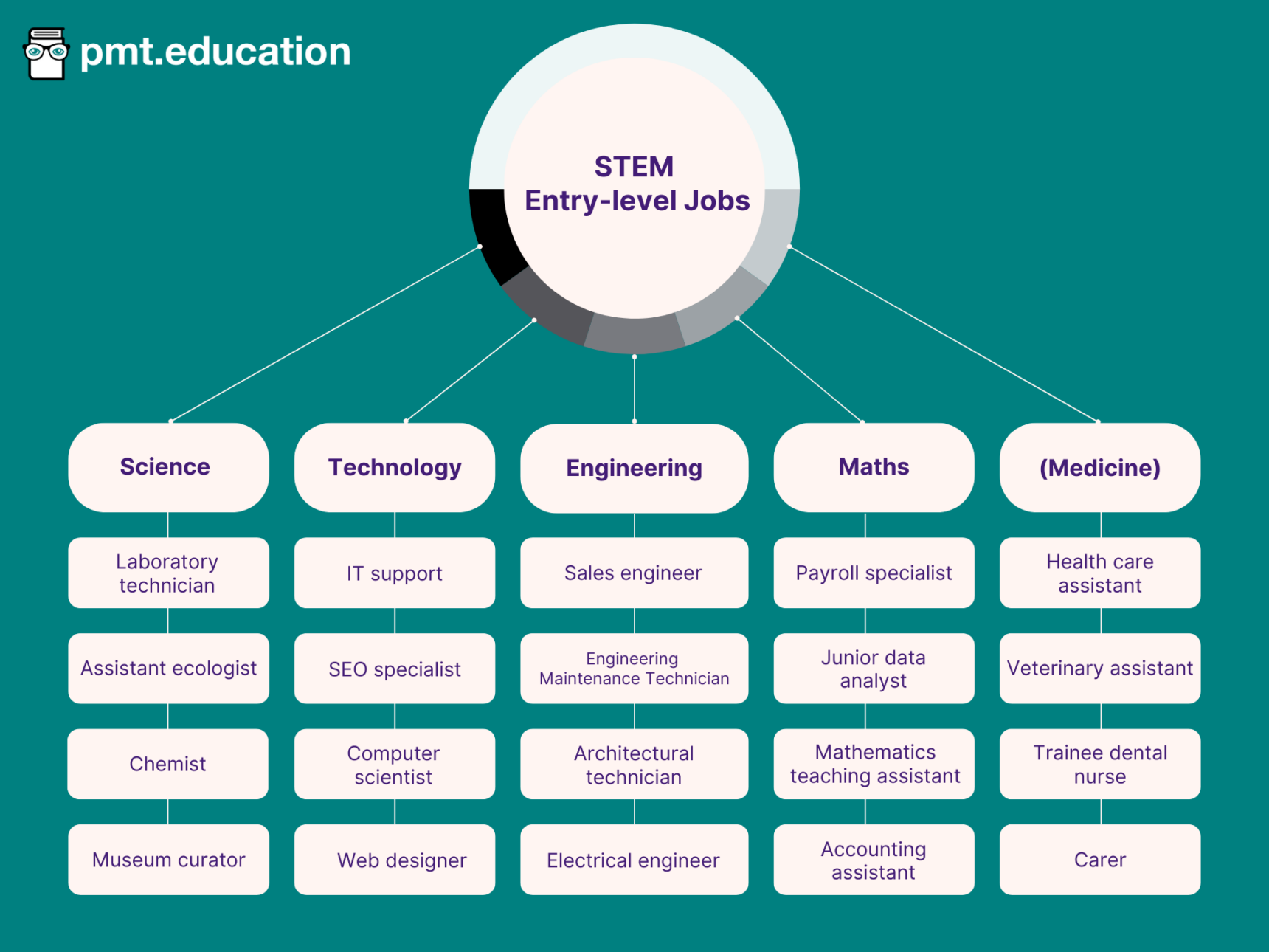 A diagram showing example STEM entry-level jobs. Science entry-level jobs include laboratory technician, assistant ecologist, chemist, and museum curator. Technology entry-level jobs include IT support, SEO specialist, computer scientist, and web designer. Engineering entry-level jobs include sales engineer, engineering maintenance technician, architectural technician, and electrical engineer. Maths entry-level jobs include payroll specialist, junior data analyst, mathematics teaching assistant, and accounting assistant. Medicine-related entry-level jobs include healthcare assistant, veterinary assistant, trainee dental nurse, and carer.