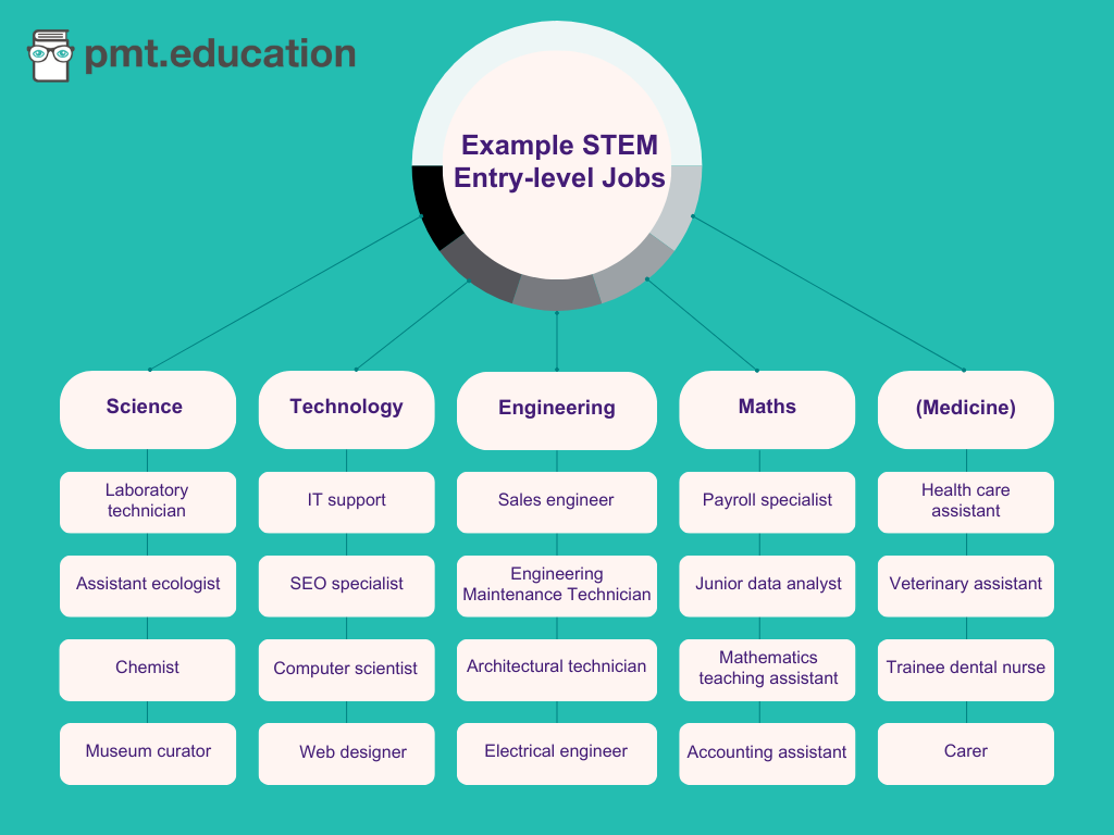 A diagram showing example STEM entry-level jobs. Science entry-level jobs include laboratory technician, assistant ecologist, chemist, and museum curator. Technology entry-level jobs include IT support, SEO specialist, computer scientist, and web designer. Engineering entry-level jobs include sales engineer, engineering maintenance technician, architectural technician, and electrical engineer. Maths entry-level jobs include payroll specialist, junior data analyst, mathematics teaching assistant, and accounting assistant. Medicine-related entry-level jobs include healthcare assistant, veterinary assistant, trainee dental nurse, and carer.