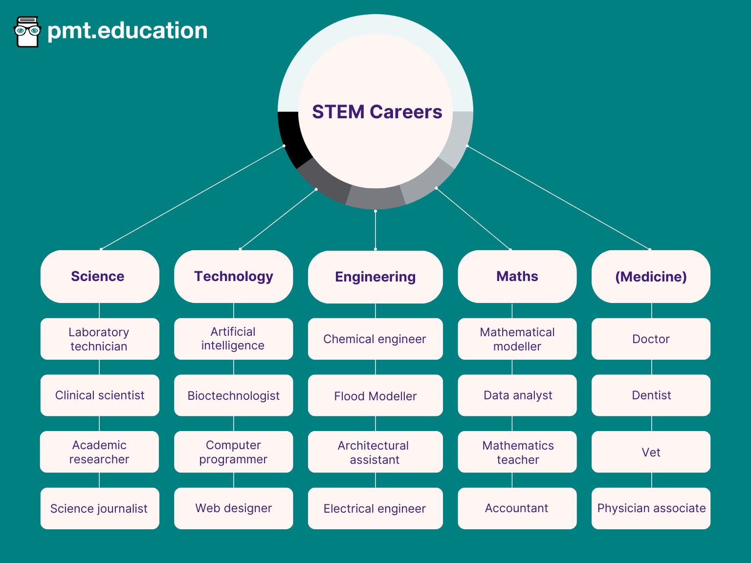 Examples of popular careers in STEM. Within Science, examples include: Laboratory technician, Assistant ecologist, Chemist, and Museum curator. Within Technology, examples include: IT support, SEO specialist, Computer scientist, and Web designer. Within Engineering, examples include: Sales engineer, Engineering Maintenance Technician, Architectural technician, Electrical engineer. Within Maths, examples include: Payroll specialist, Junior data analyst, Mathematics teaching assistant, and Accounting assistant. Within medicine, examples include: Health care assistant, Veterinary assistant, Trainee dental nurse, and Carer.