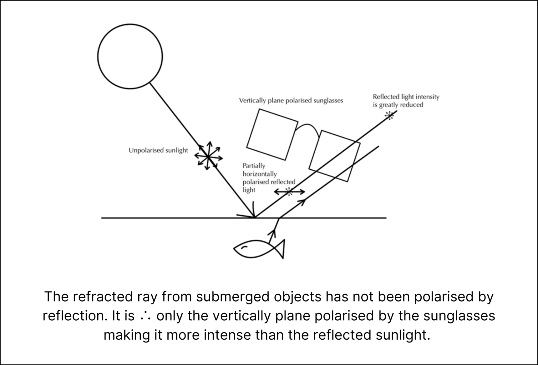 The refracted ray from submerged objects has not been polarised by reflection. It is ∴ only vertically plane polarised by the sunglasses making it more intense than the reflected sunlight.