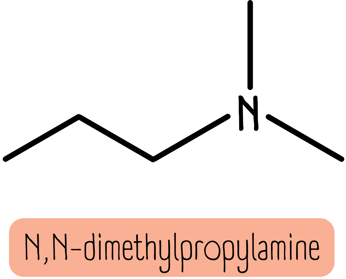 N,N-dimethylpropylamine