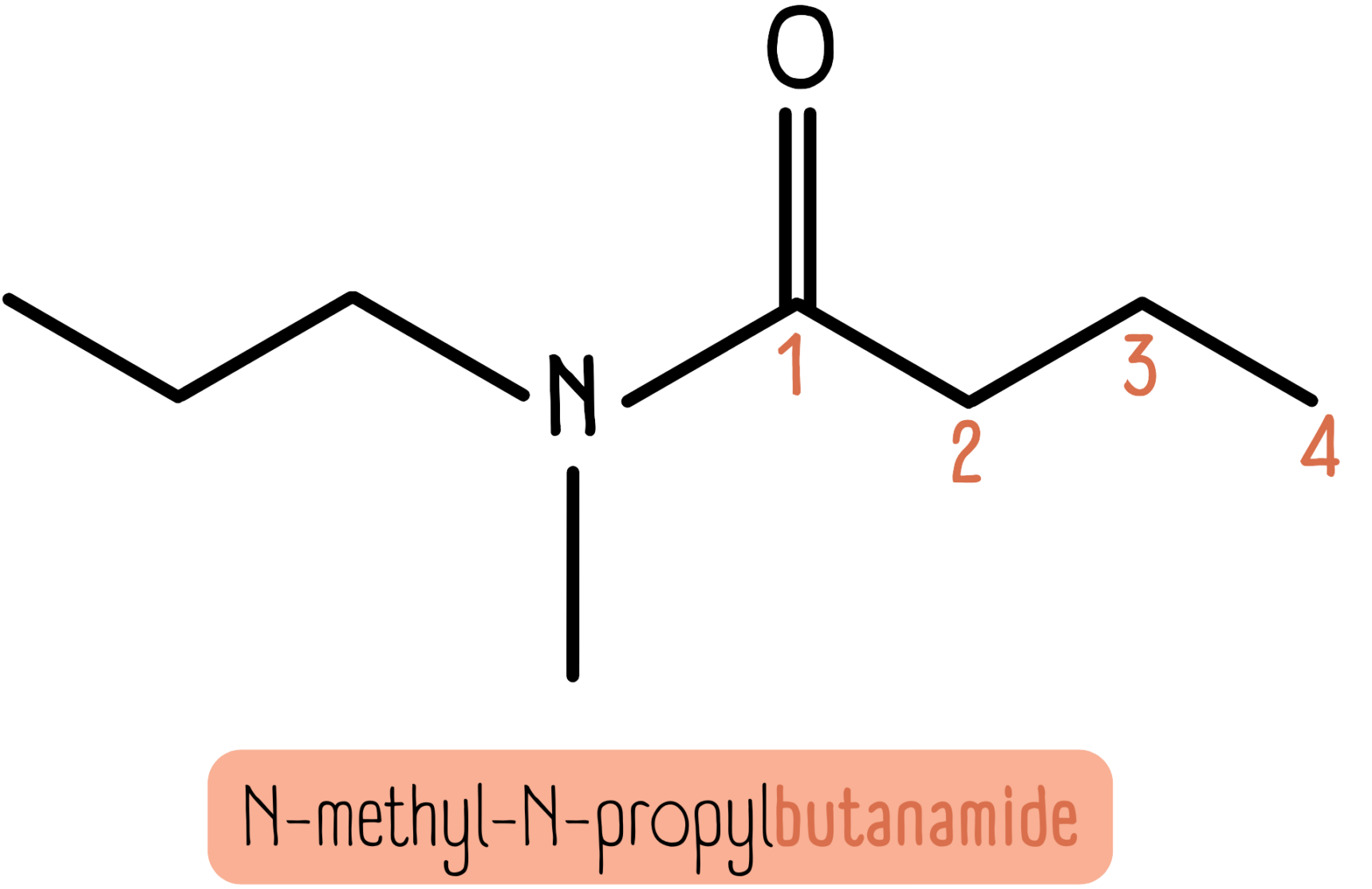 N-methyl-N-propylbutanamide