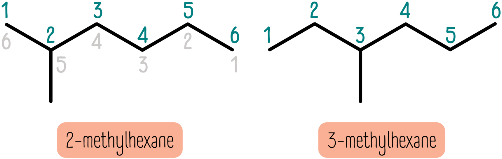 2-methylhexane and 3-methylhexane.