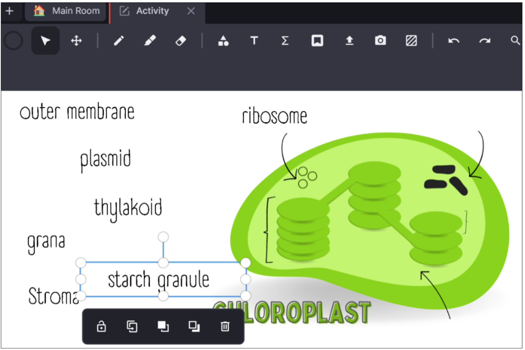 Biology A Level sorting activity on Lessonspace.